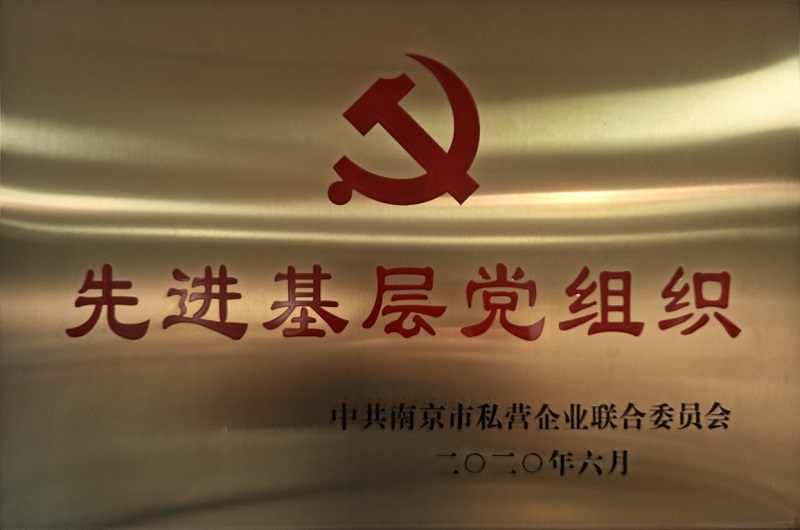 2020年度先进基层党组织